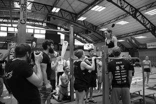 乐鱼体育下载-“2025世界游泳锦标赛：水上芭蕾精彩纷呈，艺术之美与竞技并行”