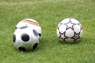 乐鱼体育官网优惠-基层足球发展资金紧张，基层足球发展资金紧张的原因