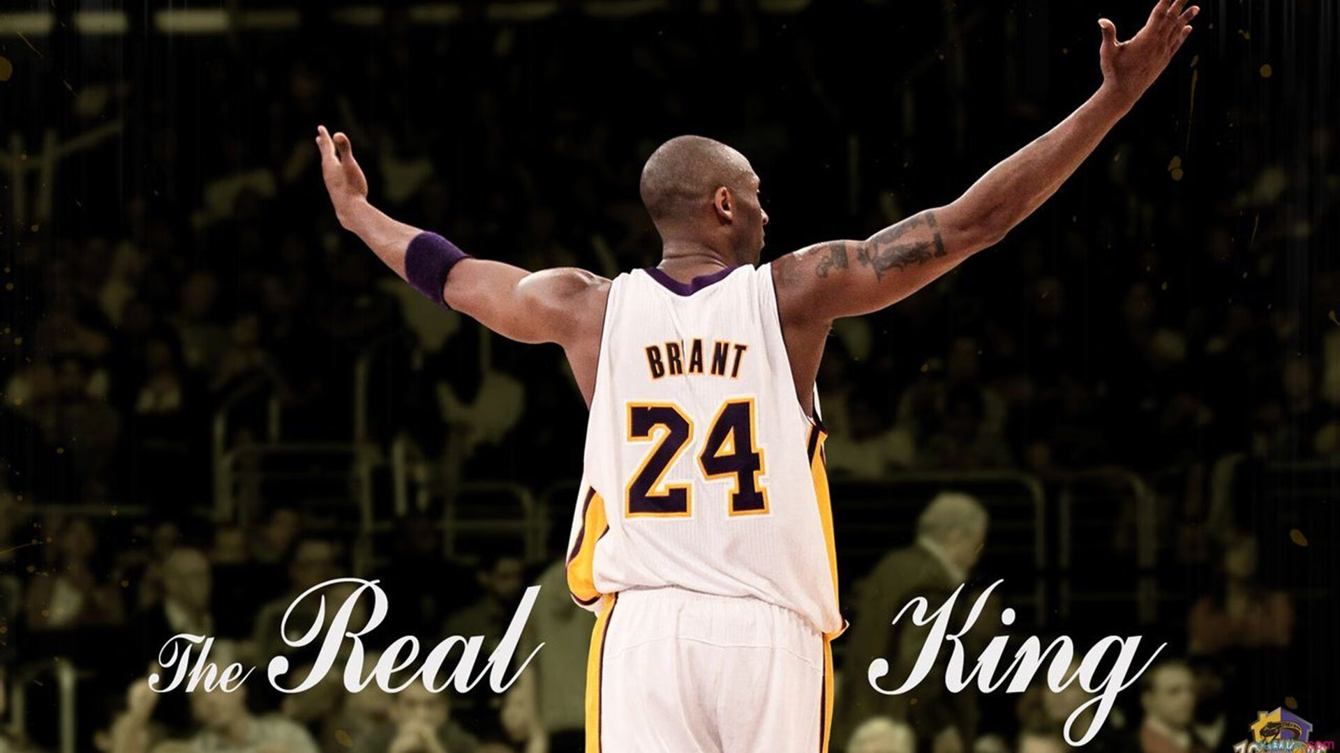 乐鱼体育网址入口-职业联赛内部调度权责划分模糊